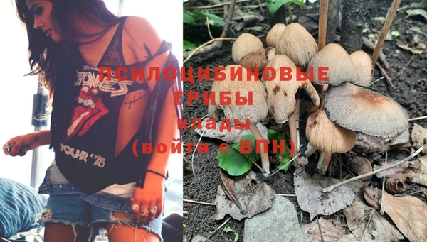 прущий лед Заводоуковск