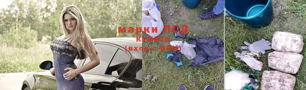 прущий лед Заводоуковск