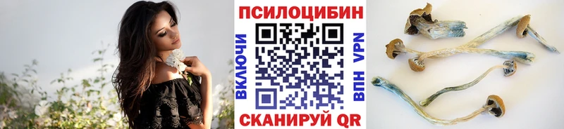 Купить закладки  Салехард  Галлюциногенные грибы Psilocybine cubensis 